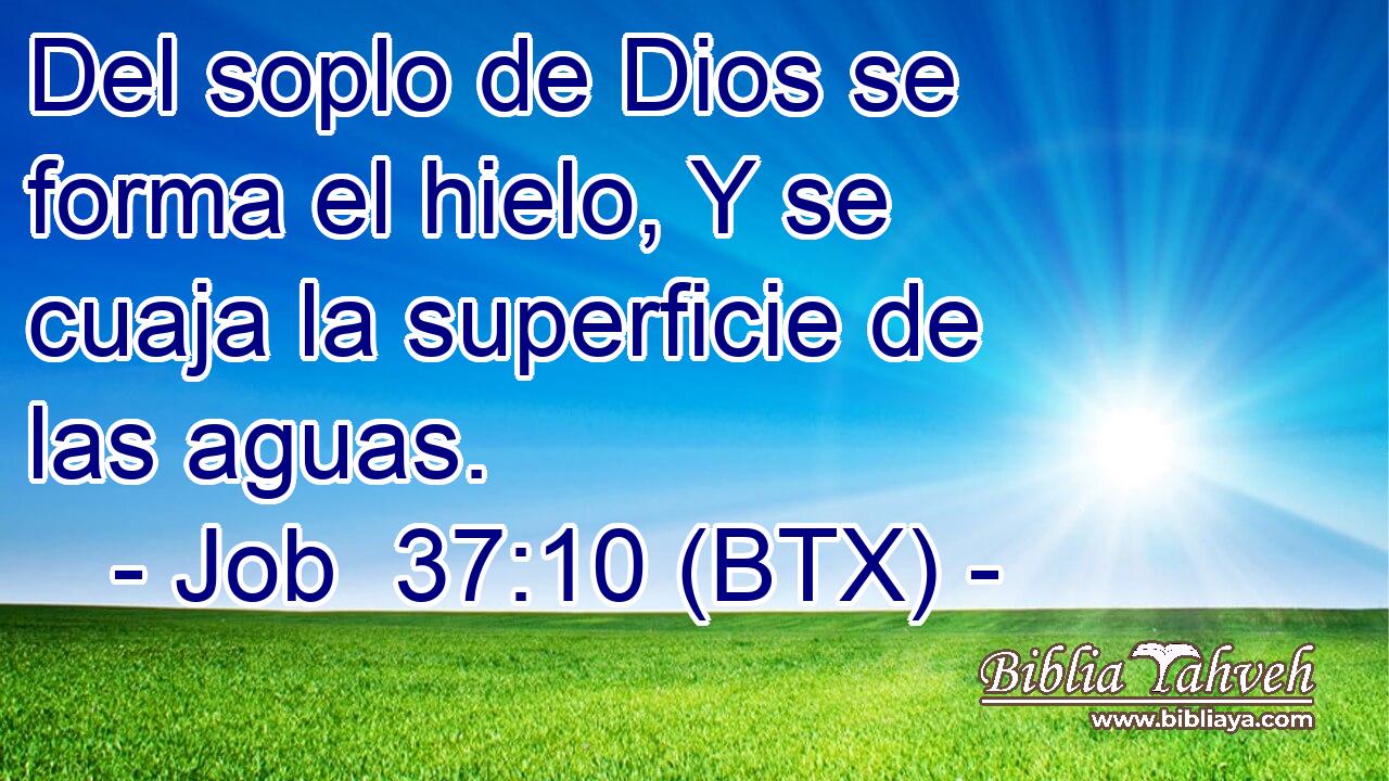 Del soplo de Dios se forma el hielo, Y se cuaja la superficie de las aguas.