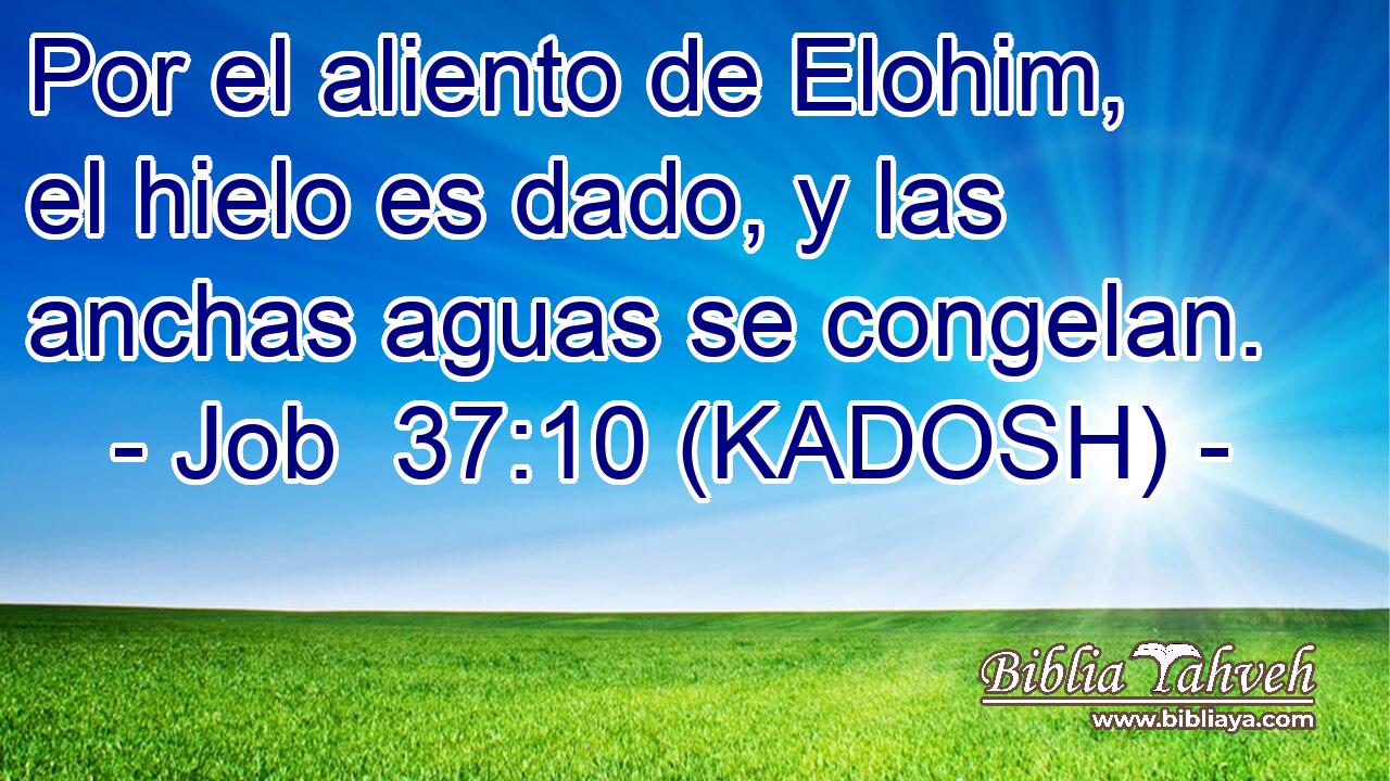  Por el aliento de Elohim, el hielo es dado, y las anchas aguas se congelan. 