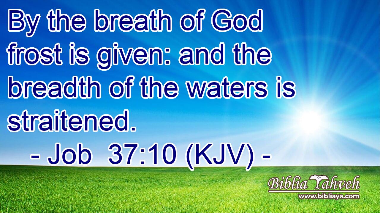 By the breath of God frost is given: and the breadth of the waters is straitened.