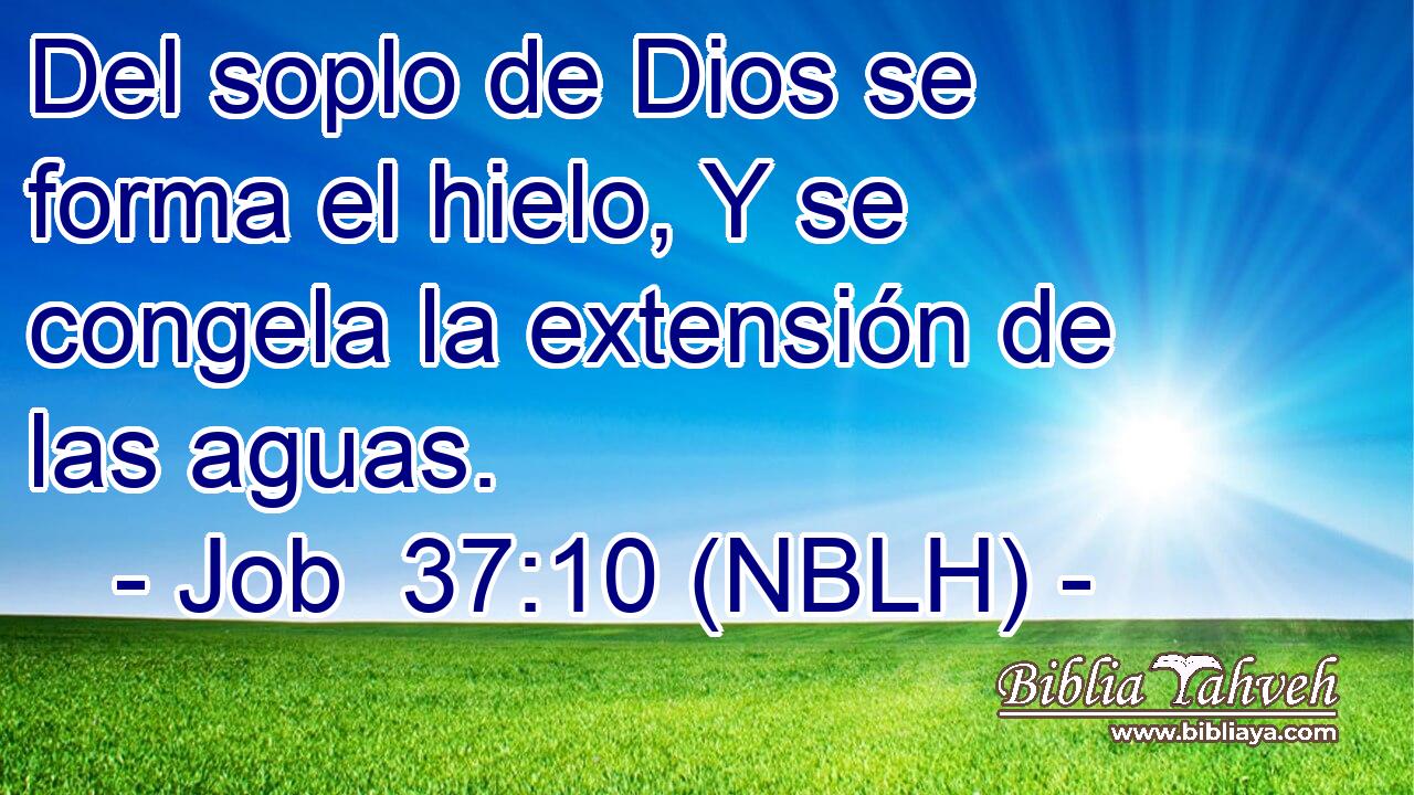  Del soplo de Dios se forma el hielo, Y se congela la extensión de las aguas. 