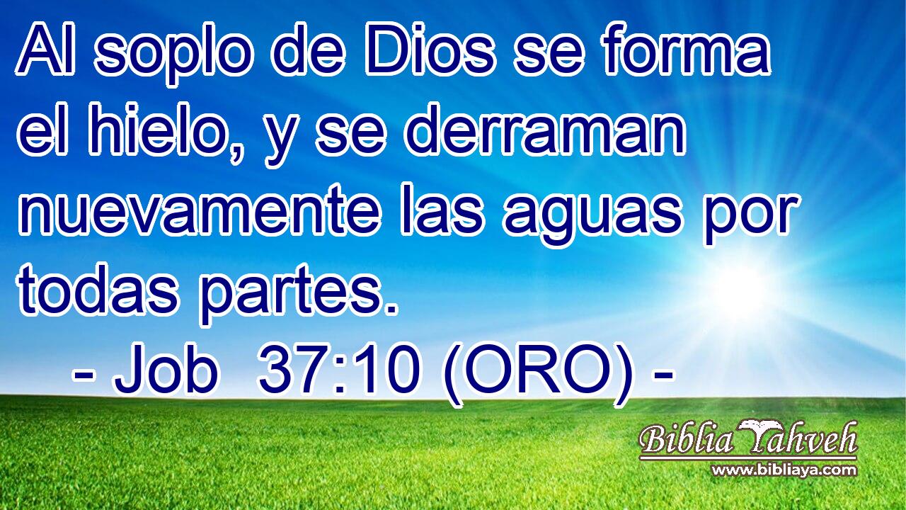  Al soplo de Dios se forma el hielo, y se derraman nuevamente las aguas por todas partes. 