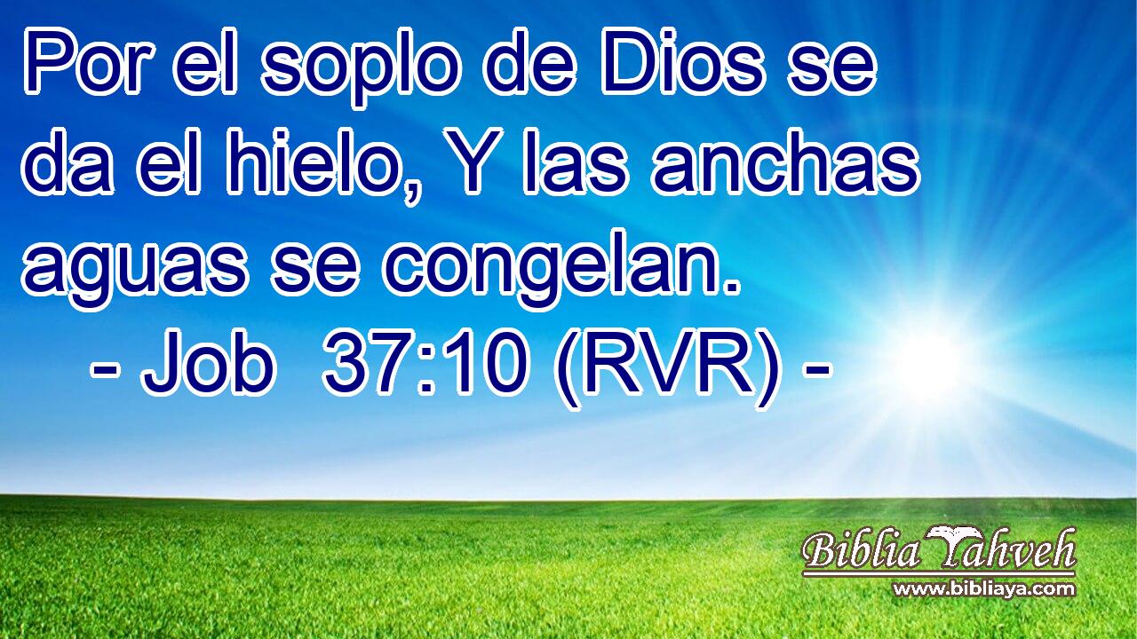 Por el soplo de Dios se da el hielo, Y las anchas aguas se congelan.