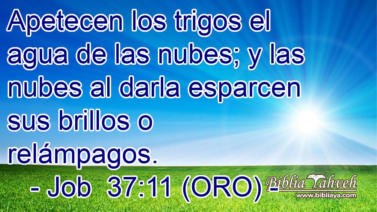  Apetecen los trigos el agua de las nubes; y las nubes al darla esparcen sus brillos o relámpagos. 
