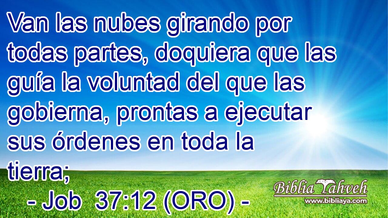  Van las nubes girando por todas partes, doquiera que las guía la voluntad del que las gobierna, prontas a ejecutar sus órdenes en toda la tierra; 
