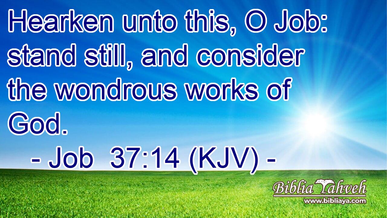 Hearken unto this, O Job: stand still, and consider the wondrous works of God.