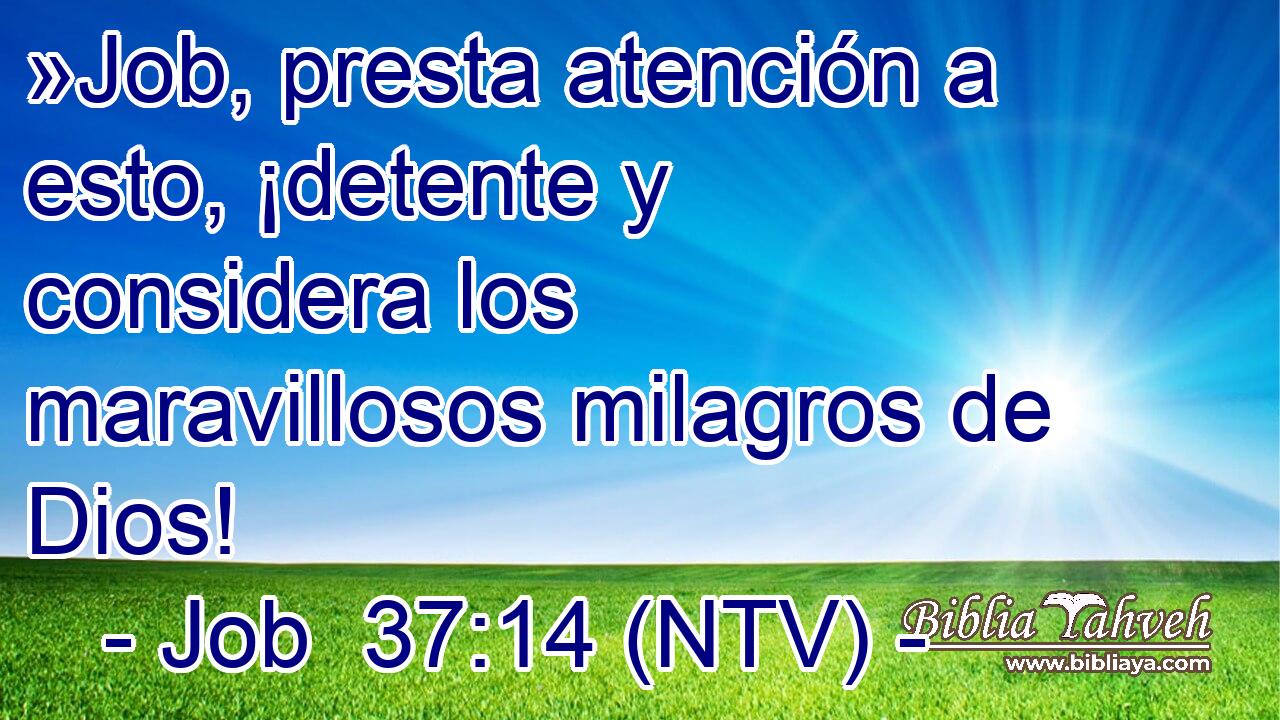 »Job, presta atención a esto, ¡detente y considera los maravillosos milagros de Dios!