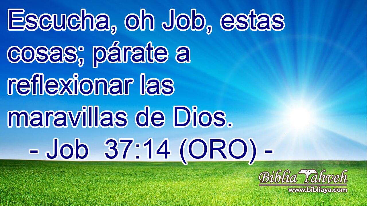  Escucha, oh Job, estas cosas; párate a reflexionar las maravillas de Dios. 