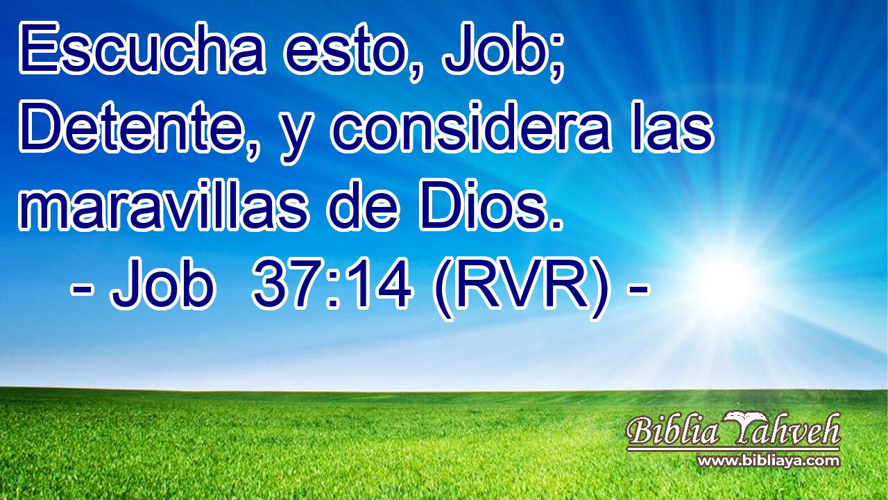 Escucha esto, Job; Detente, y considera las maravillas de Dios.