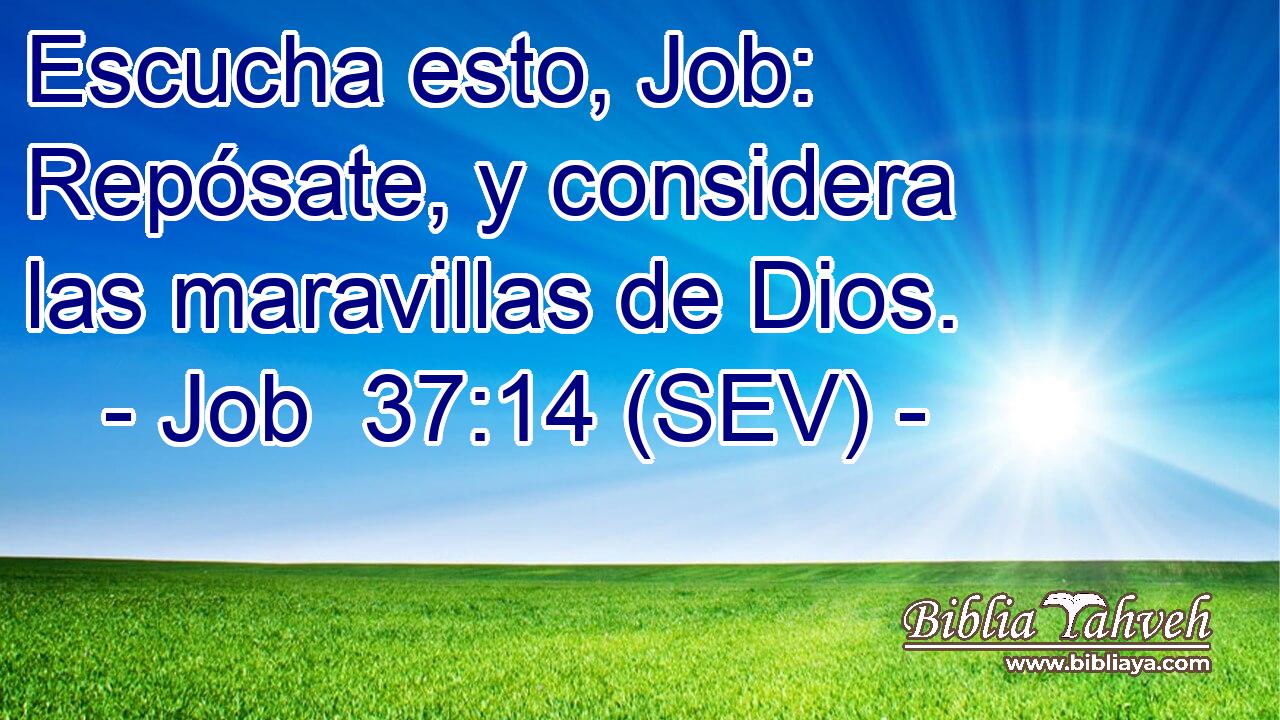 Escucha esto, Job: Repósate, y considera las maravillas de Dios.