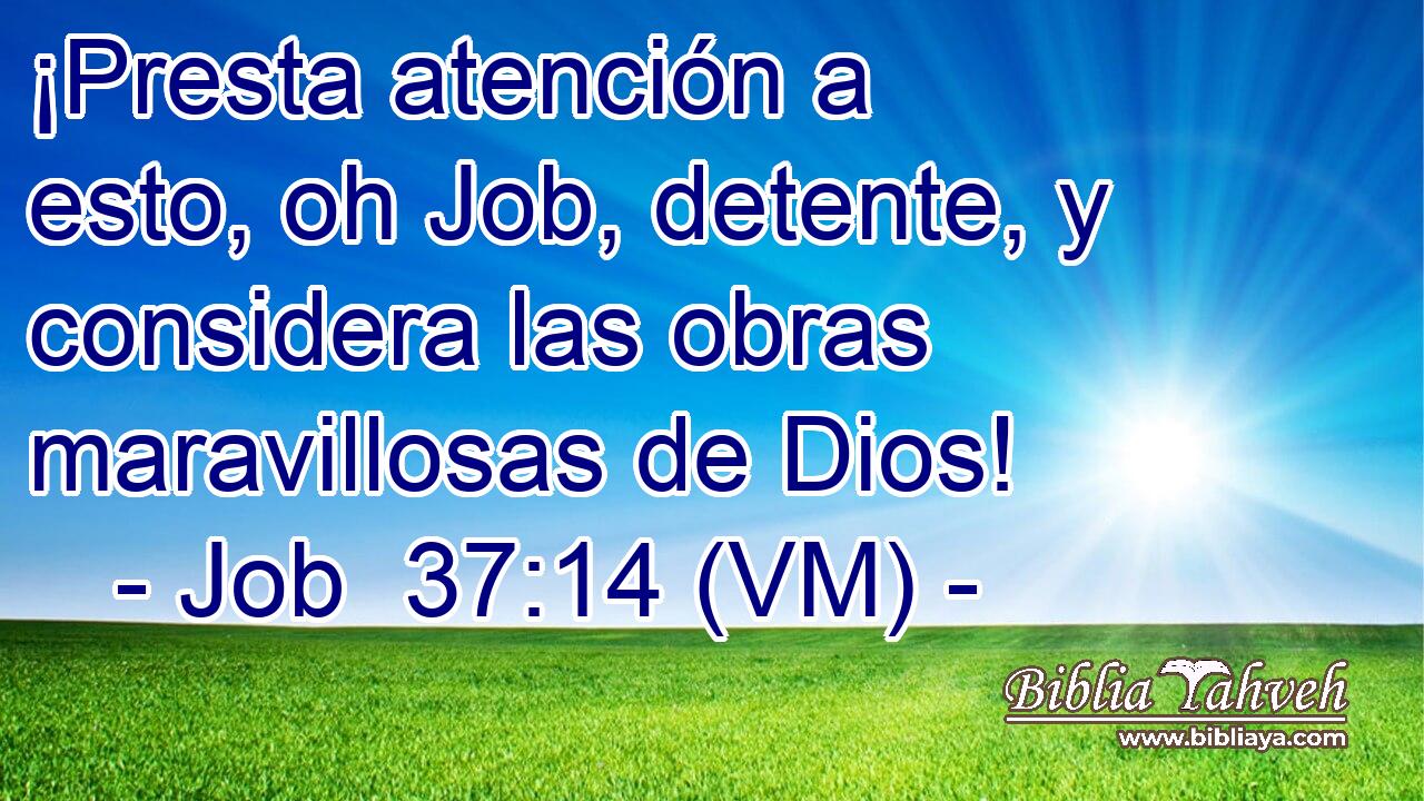  ¡Presta atención a esto, oh Job, detente, y considera las obras maravillosas de Dios! 