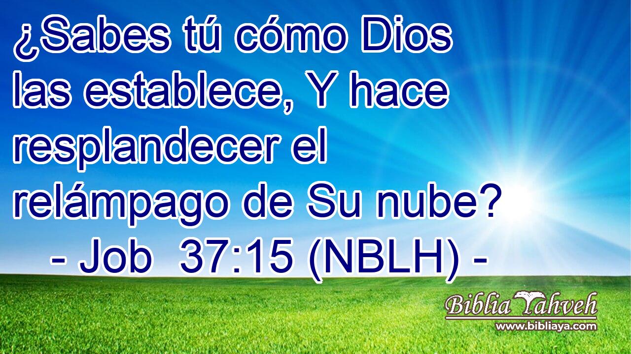  ¿Sabes tú cómo Dios las establece, Y hace resplandecer el relámpago de Su nube? 