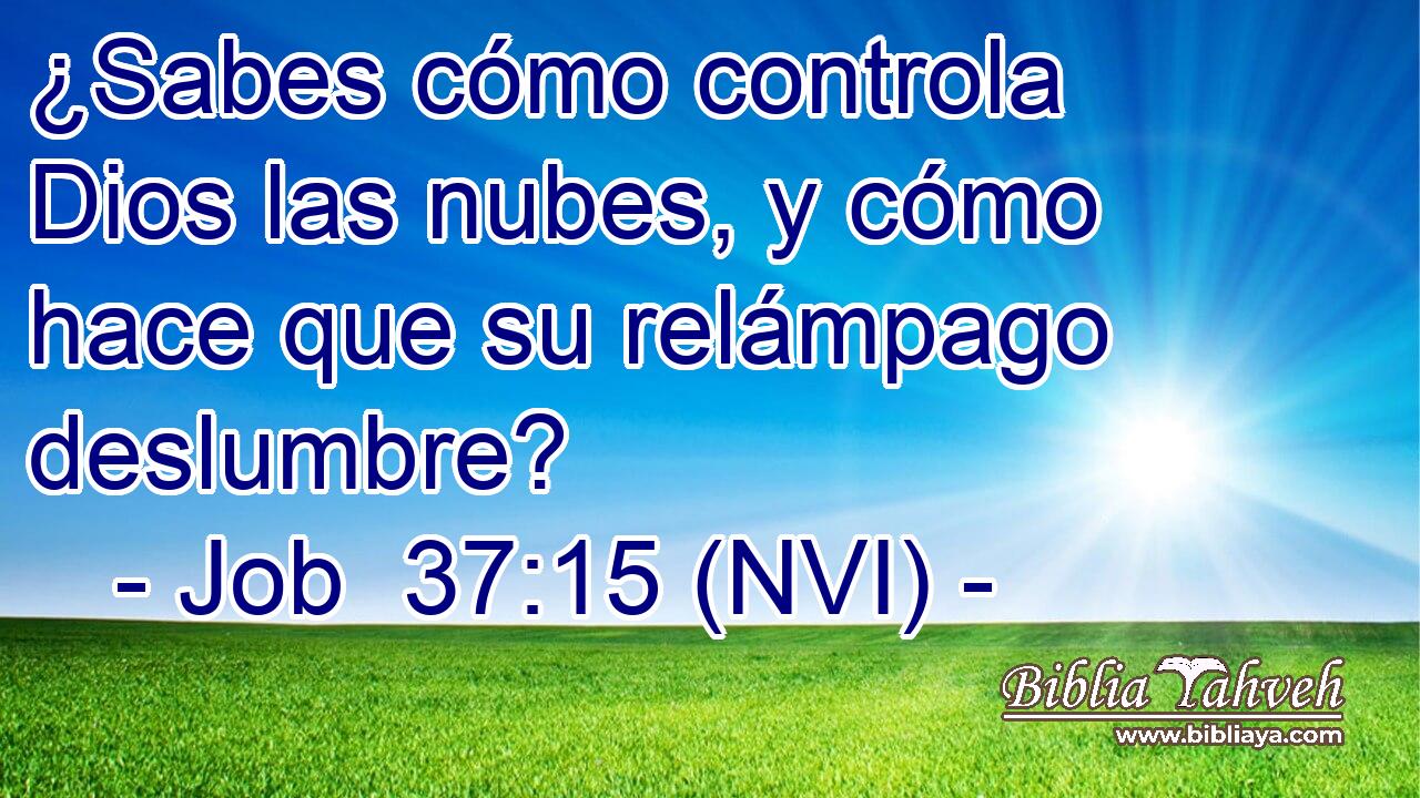  ¿Sabes cómo controla Dios las nubes, y cómo hace que su relámpago deslumbre? 