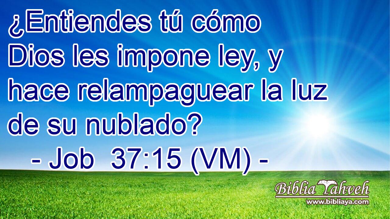  ¿Entiendes tú cómo Dios les impone ley, y hace relampaguear la luz de su nublado? 