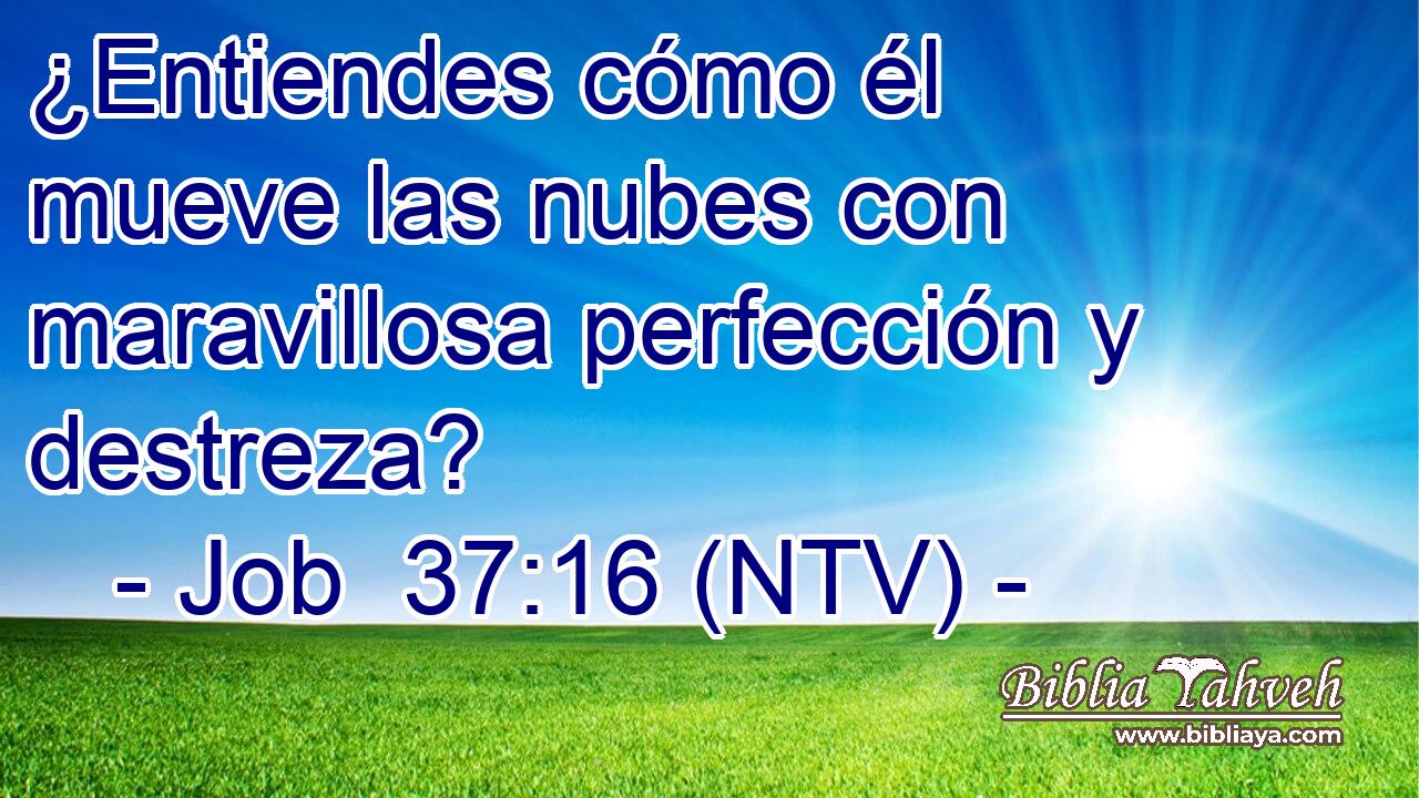 ¿Entiendes cómo él mueve las nubes con maravillosa perfección y destreza?