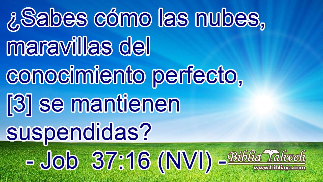  ¿Sabes cómo las nubes, maravillas del conocimiento perfecto, [3] se mantienen suspendidas? 