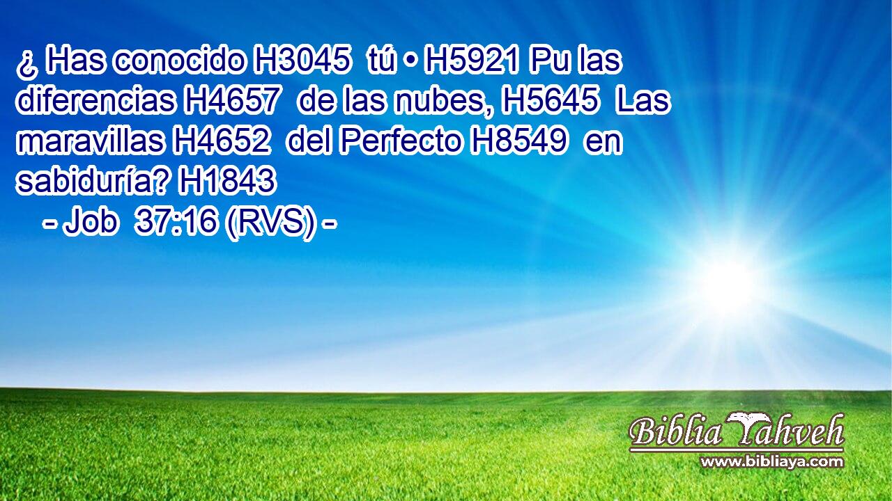 ¿ Has conocido H3045  tú • H5921 Pu las diferencias H4657  de las nubes, H5645  Las maravillas H4652  del Perfecto H8549  en sabiduría? H1843  