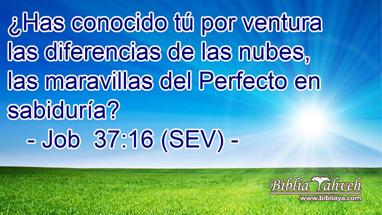 ¿Has conocido tú por ventura las diferencias de las nubes, las maravillas del Perfecto en sabiduría?