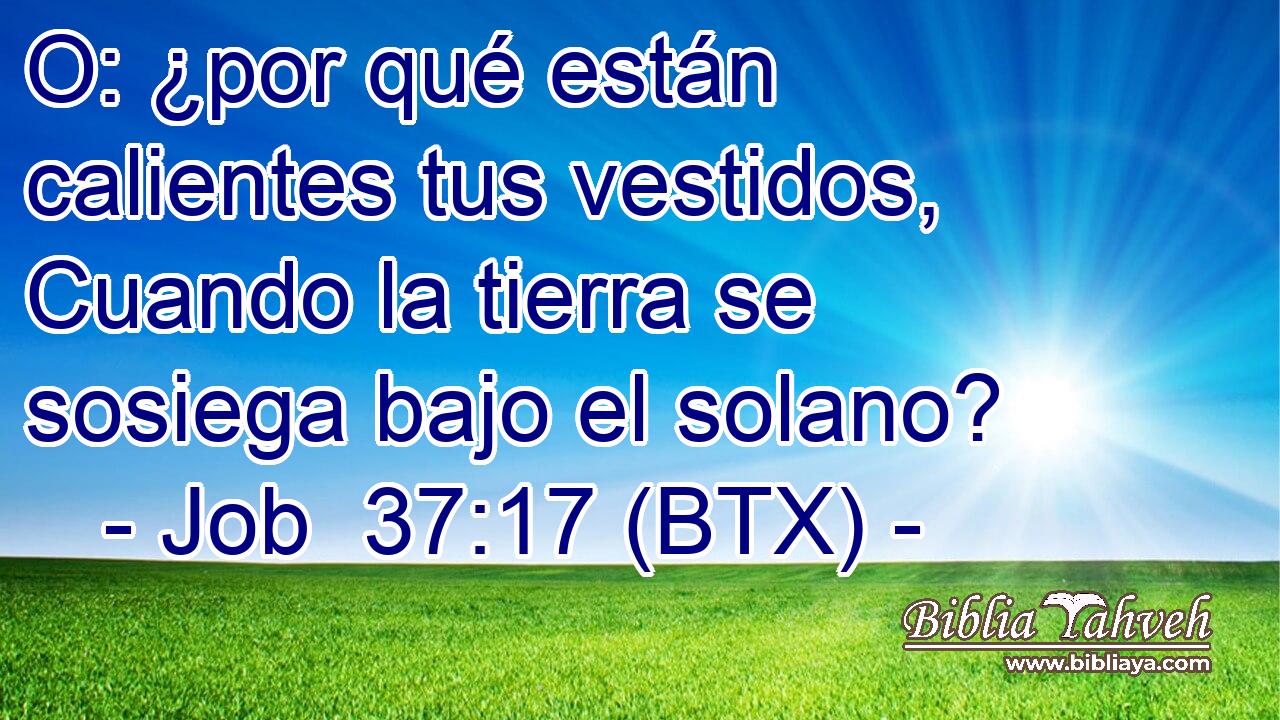 O: ¿por qué están calientes tus vestidos, Cuando la tierra se sosiega bajo el solano?