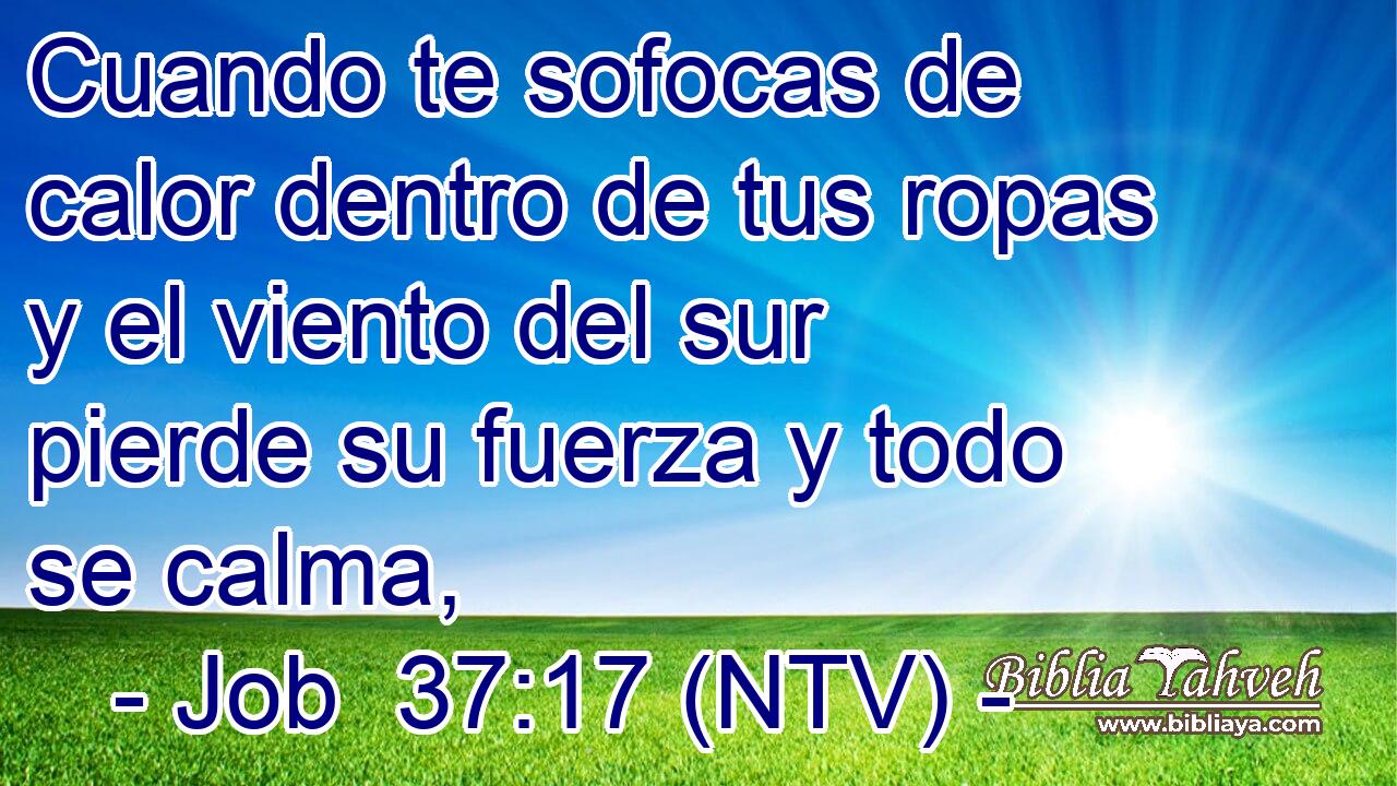 Cuando te sofocas de calor dentro de tus ropas y el viento del sur pierde su fuerza y todo se calma,