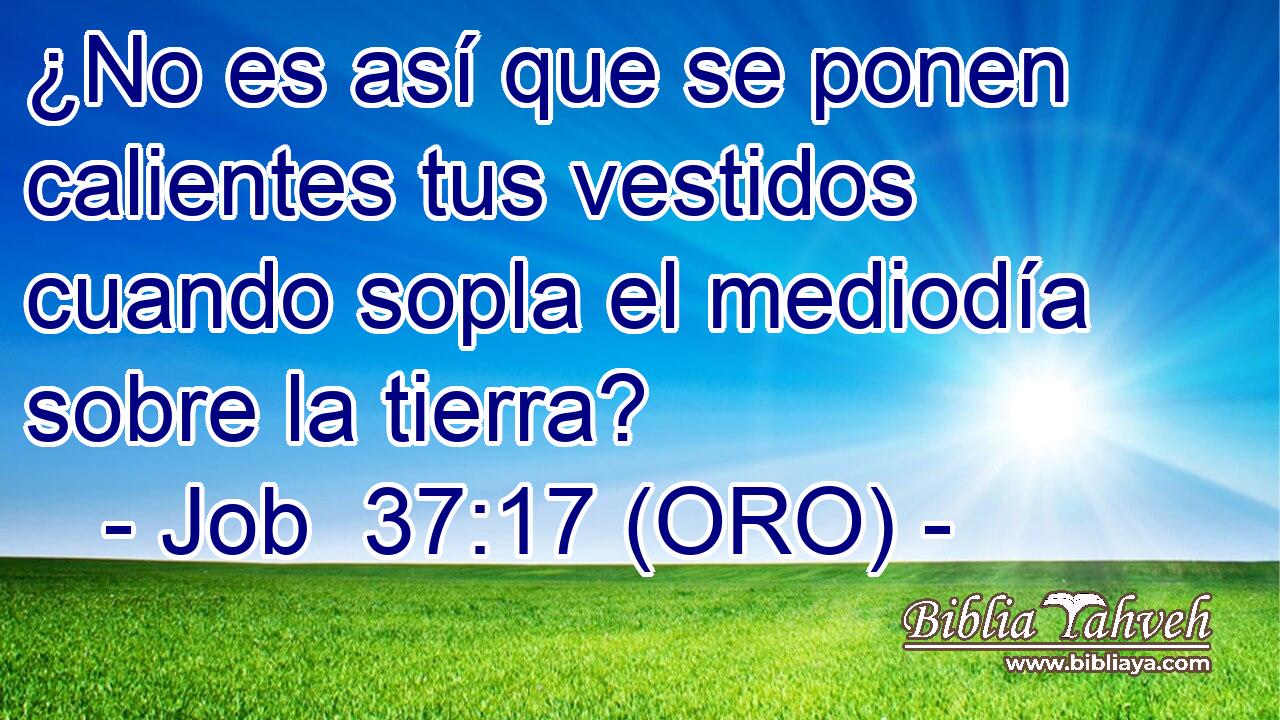  ¿No es así que se ponen calientes tus vestidos cuando sopla el mediodía sobre la tierra? 