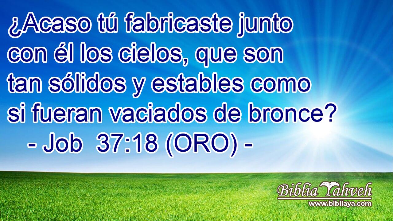  ¿Acaso tú fabricaste junto con él los cielos, que son tan sólidos y estables como si fueran vaciados de bronce? 