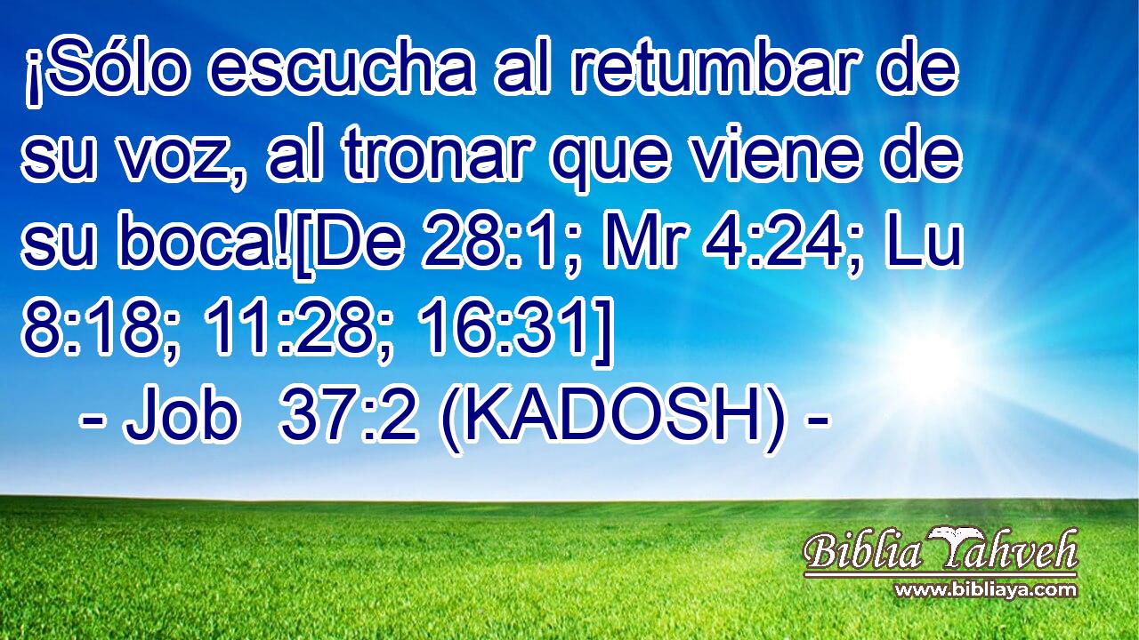  ¡Sólo escucha al retumbar de su voz, al tronar que viene de su boca![De 28:1; Mr 4:24; Lu 8:18; 11:28; 16:31] 