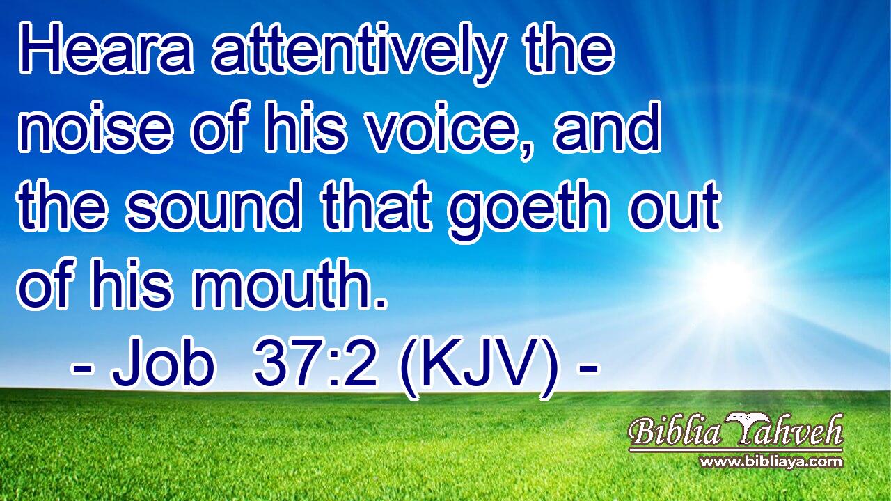 Heara attentively the noise of his voice, and the sound that goeth out of his mouth.