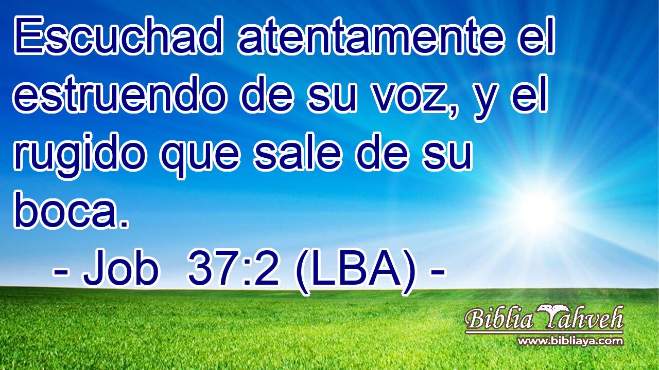 Escuchad atentamente el estruendo de su voz, y el rugido que sale de su boca.