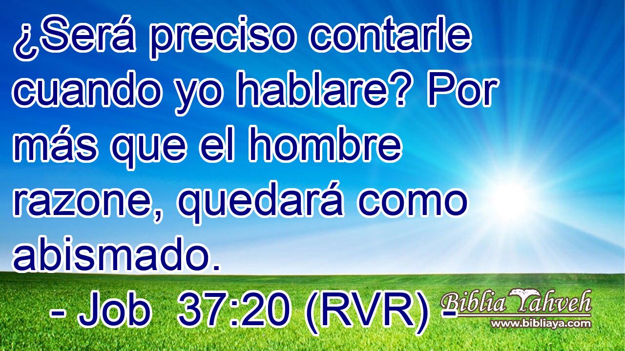 ¿Será preciso contarle cuando yo hablare? Por más que el hombre razone, quedará como abismado.