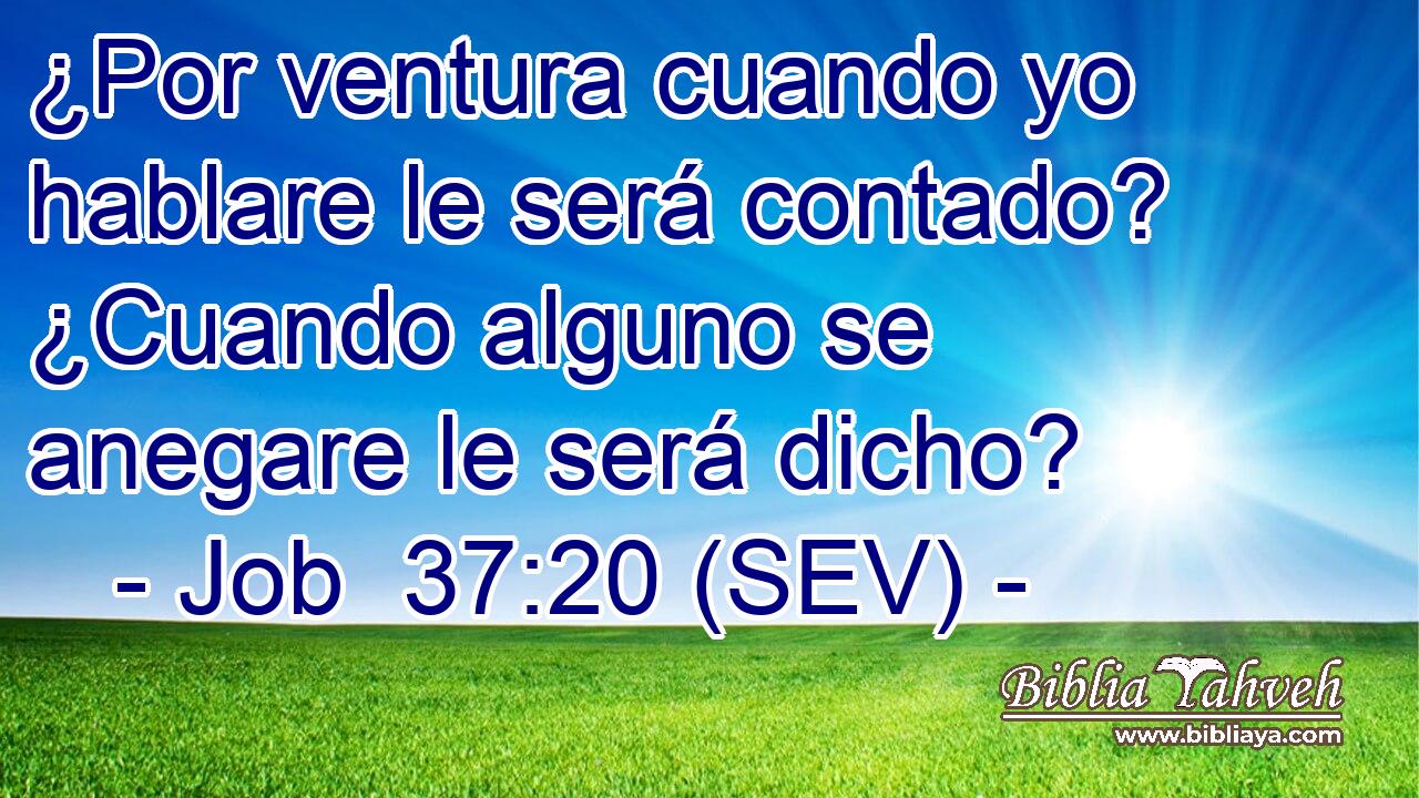 ¿Por ventura cuando yo hablare le será contado? ¿Cuando alguno se anegare le será dicho?