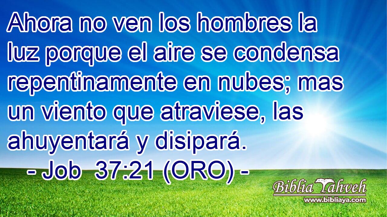  Ahora no ven los hombres la luz porque el aire se condensa repentinamente en nubes; mas un viento que atraviese, las ahuyentará y disipará. 
