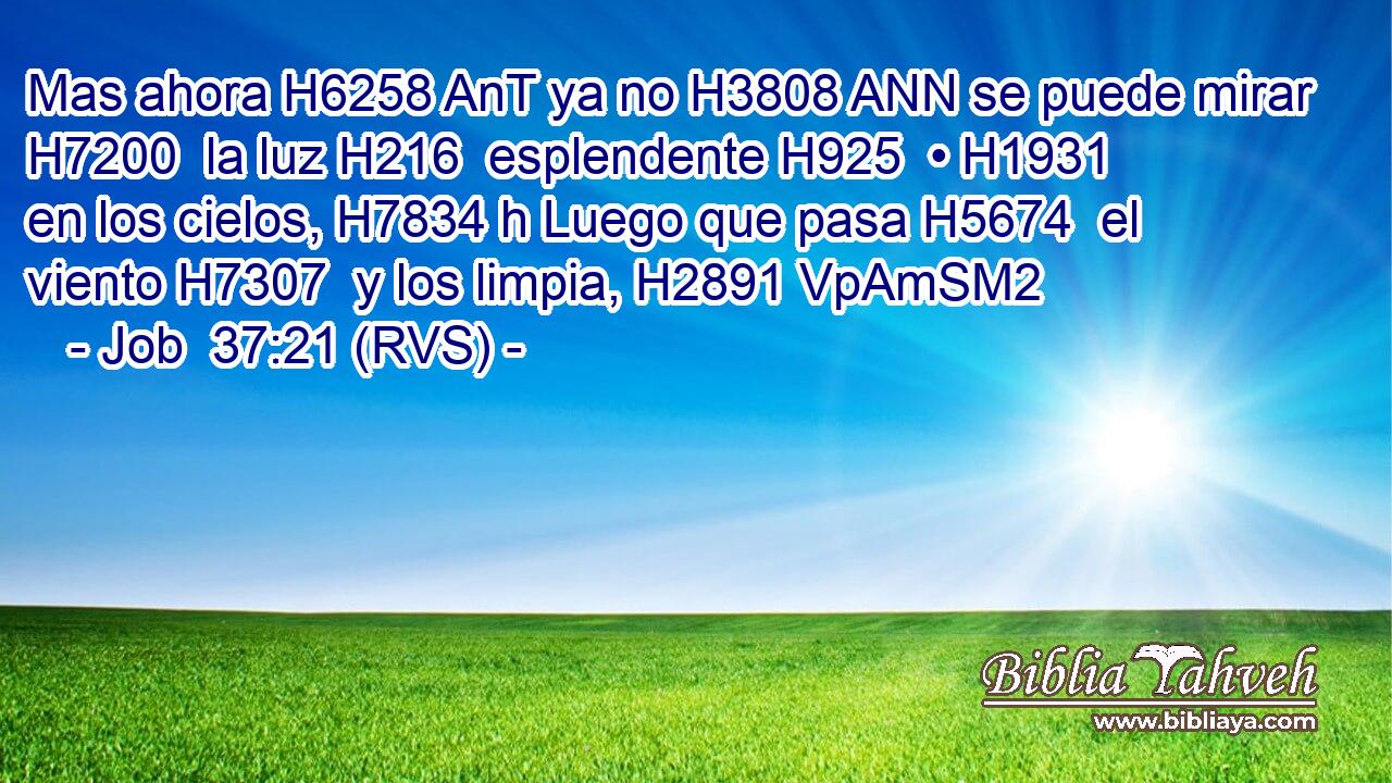 Mas ahora H6258 AnT ya no H3808 ANN se puede mirar H7200  la luz H216  esplendente H925  • H1931  en los cielos, H7834 h Luego que pasa H5674  el viento H7307  y los limpia, H2891 VpAmSM2 