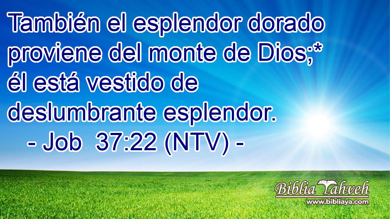 También el esplendor dorado proviene del monte de Dios;* él está vestido de deslumbrante esplendor.