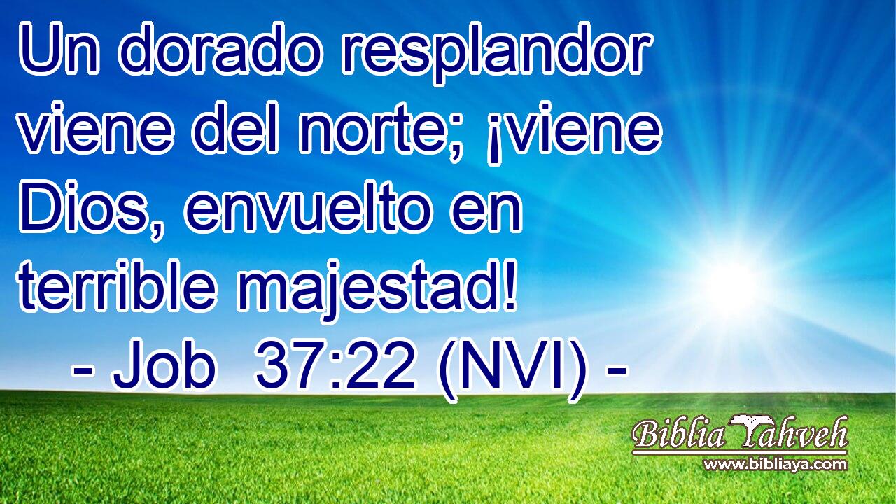  Un dorado resplandor viene del norte; ¡viene Dios, envuelto en terrible majestad! 