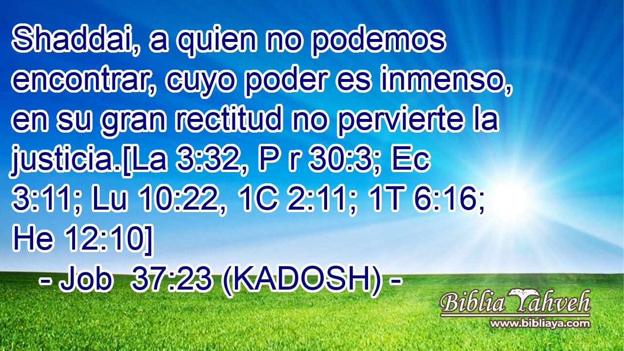  Shaddai, a quien no podemos encontrar, cuyo poder es inmenso, en su gran rectitud no pervierte la justicia.[La 3:32, P r 30:3; Ec 3:11; Lu 10:22, 1C 2:11; 1T 6:16; He 12:10] 