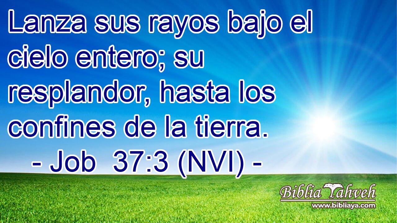  Lanza sus rayos bajo el cielo entero; su resplandor, hasta los confines de la tierra. 