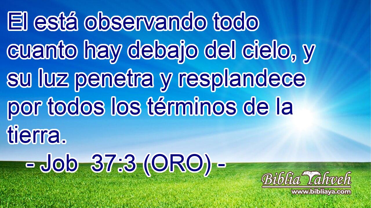 El está observando todo cuanto hay debajo del cielo, y su luz penetra y resplandece por todos los términos de la tierra. 