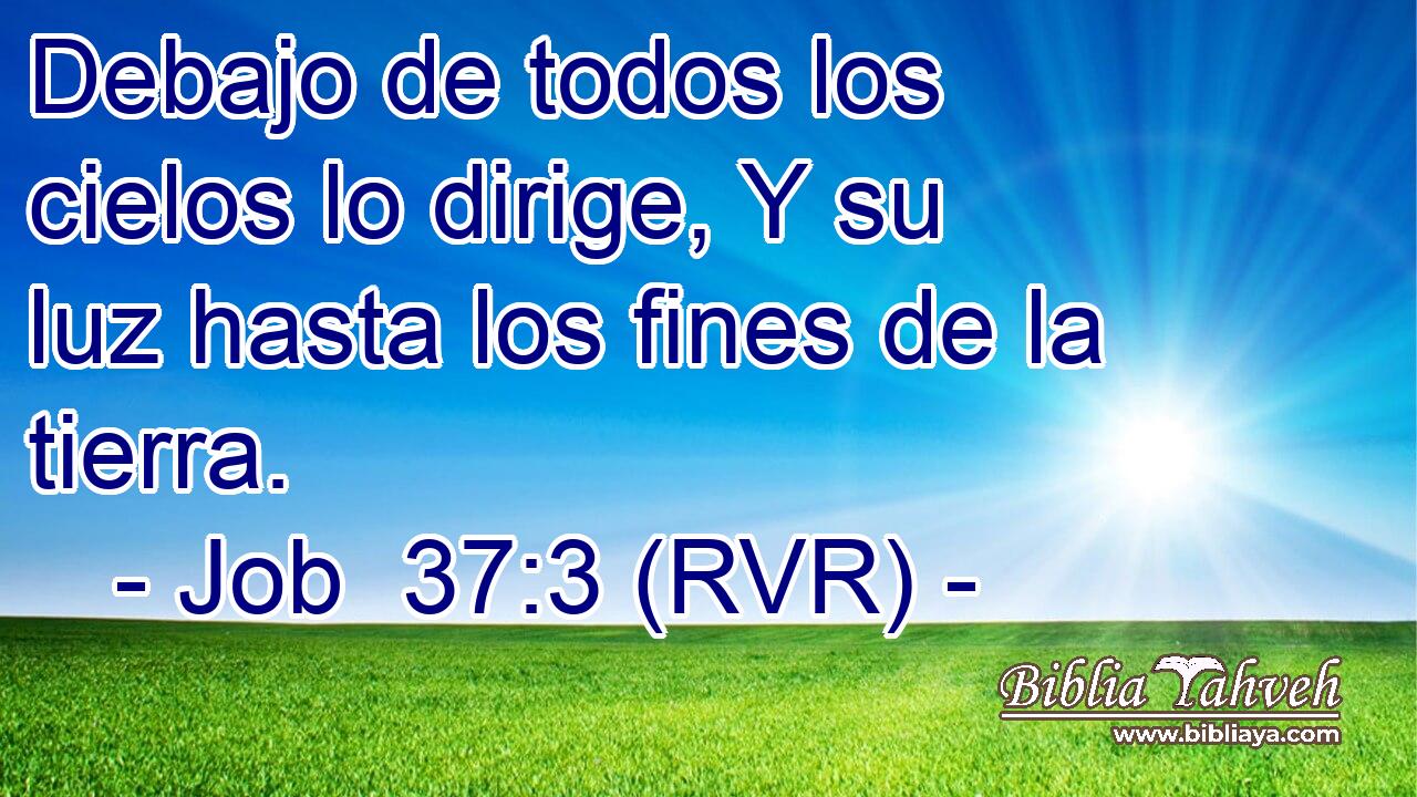 Debajo de todos los cielos lo dirige, Y su luz hasta los fines de la tierra.