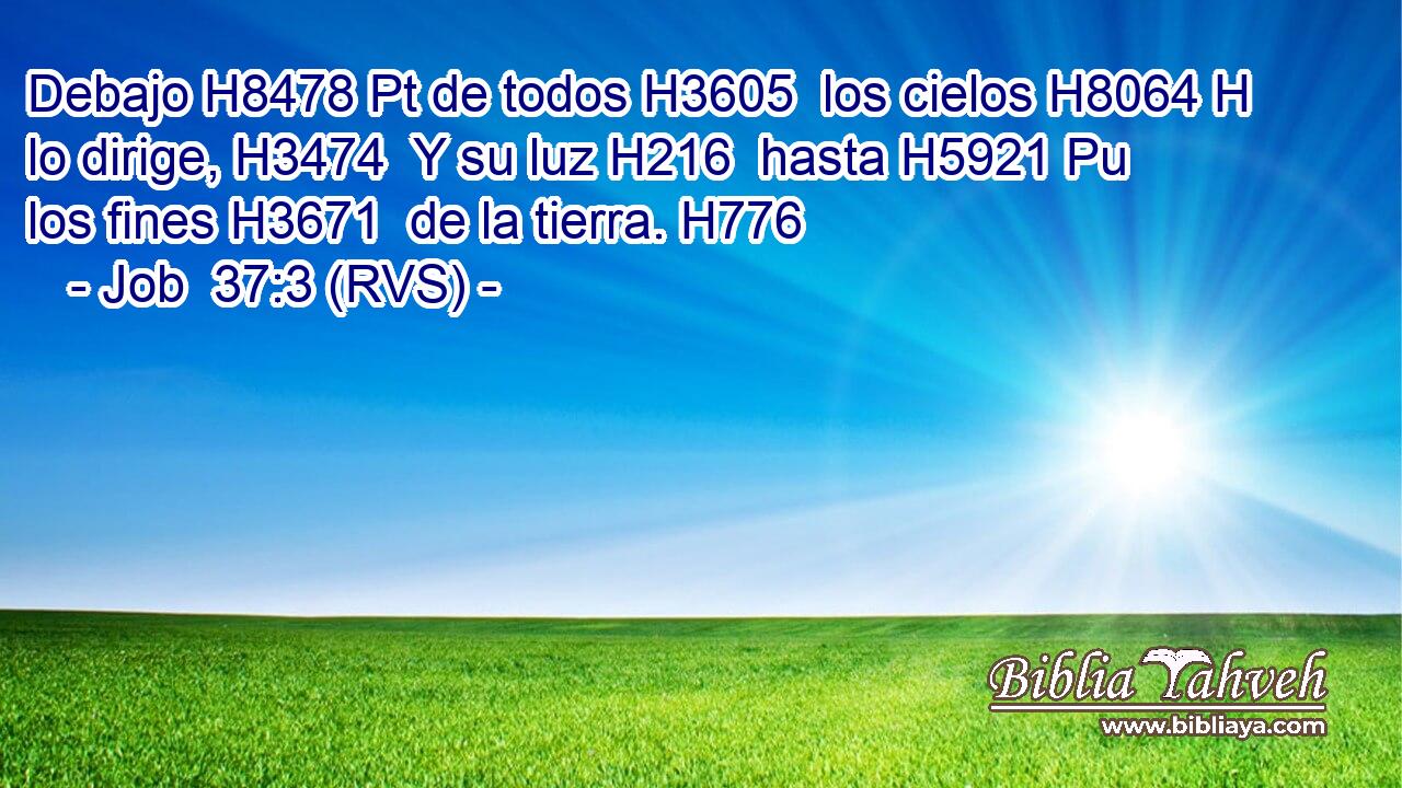 Debajo H8478 Pt de todos H3605  los cielos H8064 H lo dirige, H3474  Y su luz H216  hasta H5921 Pu los fines H3671  de la tierra. H776  