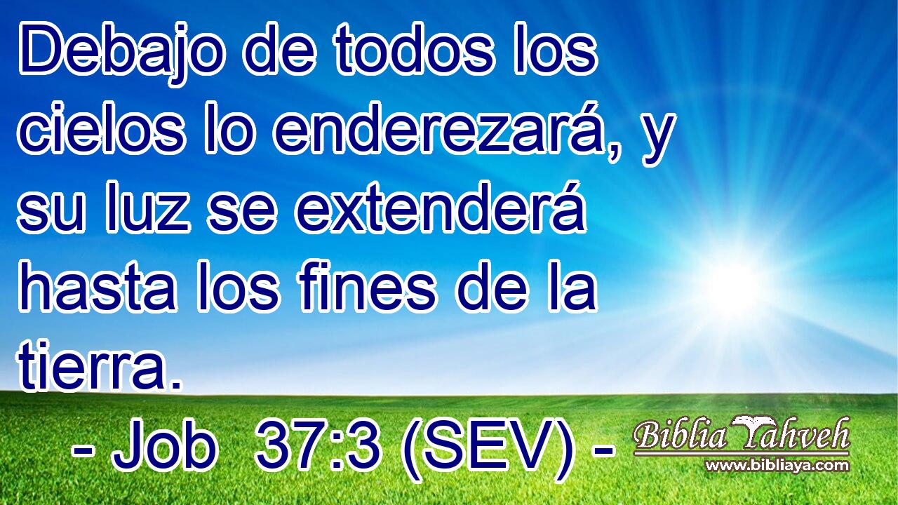 Debajo de todos los cielos lo enderezará, y su luz se extenderá hasta los fines de la tierra.