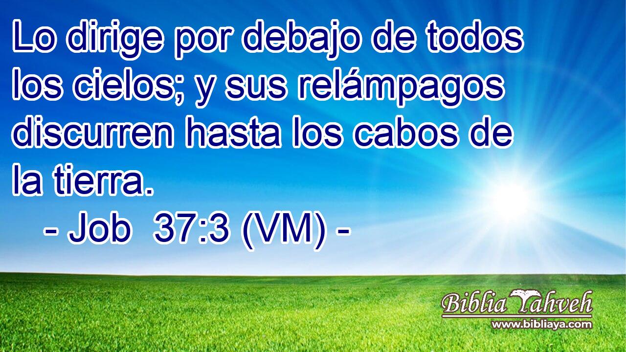  Lo dirige por debajo de todos los cielos; y sus relámpagos discurren hasta los cabos de la tierra. 