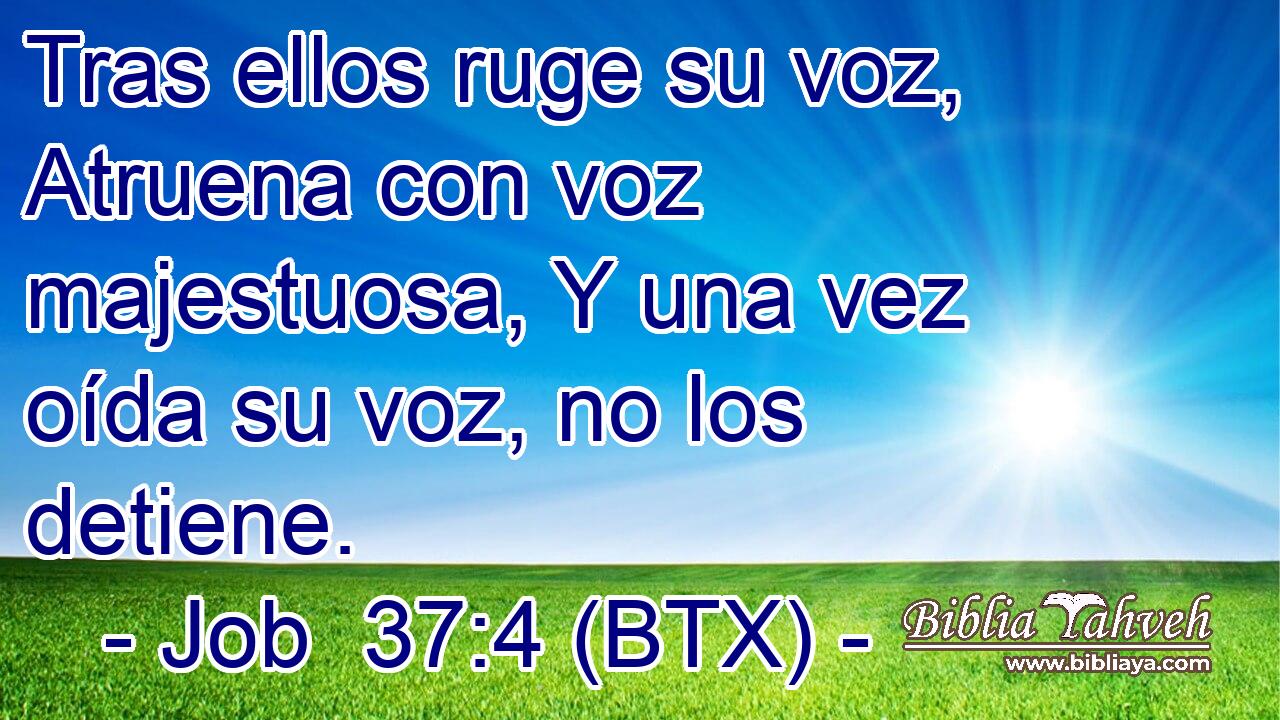 Tras ellos ruge su voz, Atruena con voz majestuosa, Y una vez oída su voz, no los detiene.