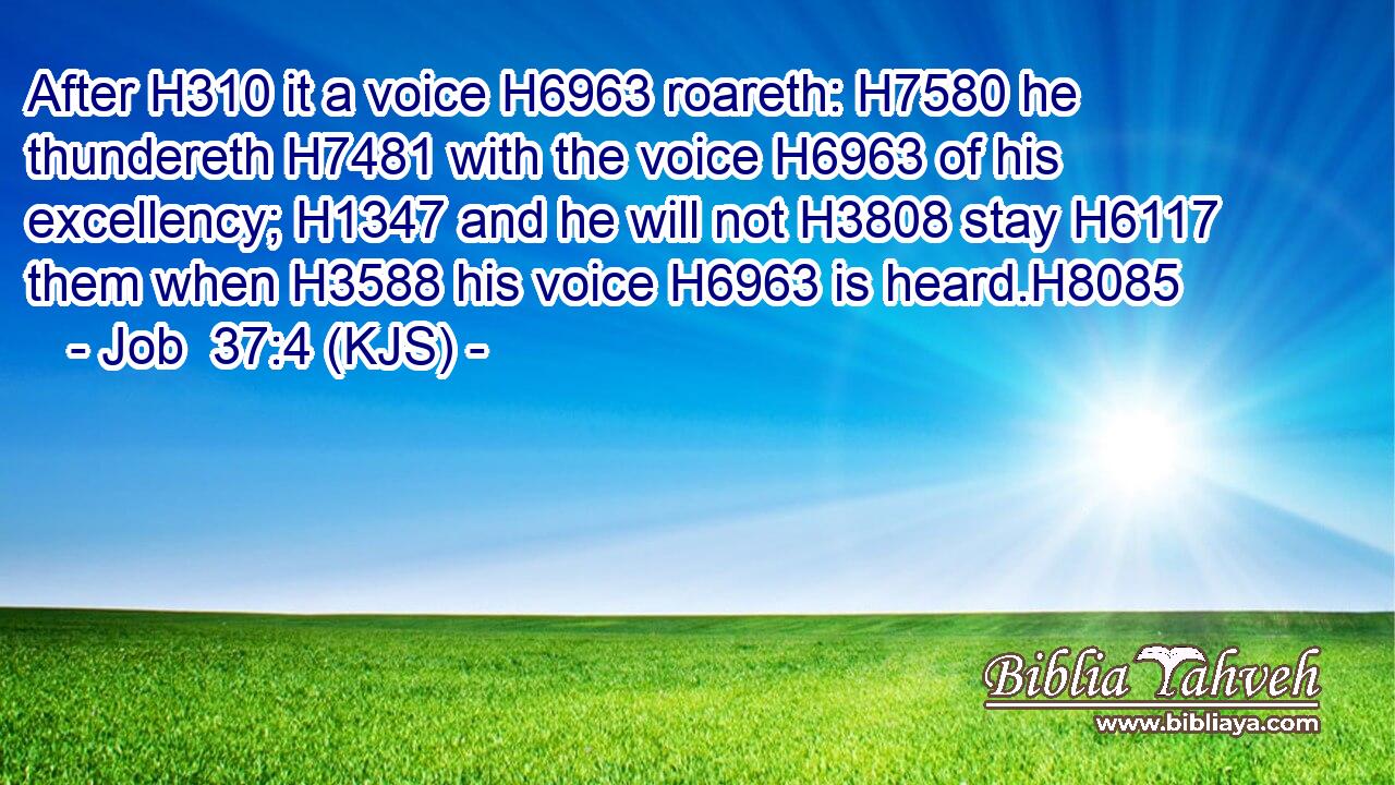 After H310 it a voice H6963 roareth: H7580 he thundereth H7481 with the voice H6963 of his excellency; H1347 and he will not H3808 stay H6117 them when H3588 his voice H6963 is heard.H8085