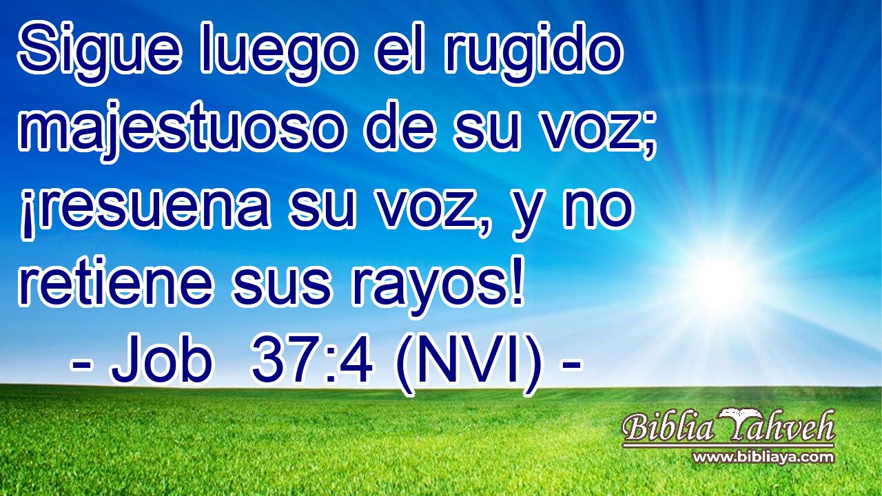  Sigue luego el rugido majestuoso de su voz; ¡resuena su voz, y no retiene sus rayos! 