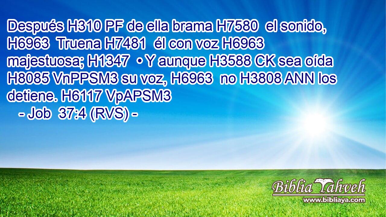 Después H310 PF de ella brama H7580  el sonido, H6963  Truena H7481  él con voz H6963  majestuosa; H1347  • Y aunque H3588 CK sea oída H8085 VnPPSM3 su voz, H6963  no H3808 ANN los detiene. H6117 VpAPSM3 