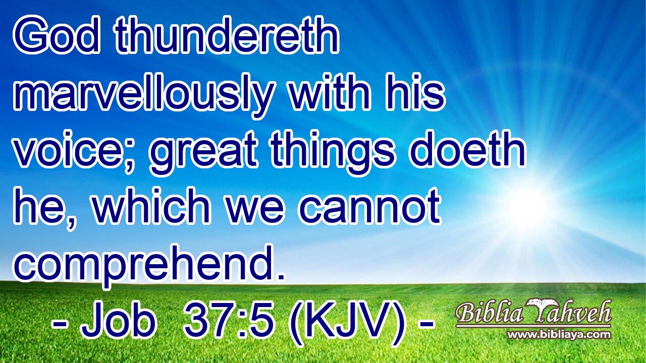 God thundereth marvellously with his voice; great things doeth he, which we cannot comprehend.