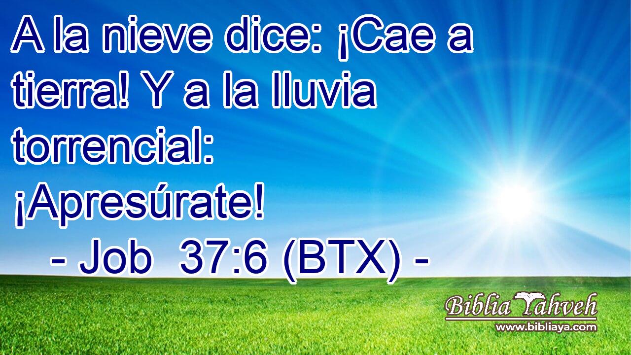 A la nieve dice: ¡Cae a tierra! Y a la lluvia torrencial: ¡Apresúrate!