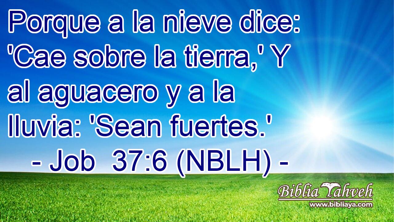  Porque a la nieve dice: 'Cae sobre la tierra,' Y al aguacero y a la lluvia: 'Sean fuertes.' 