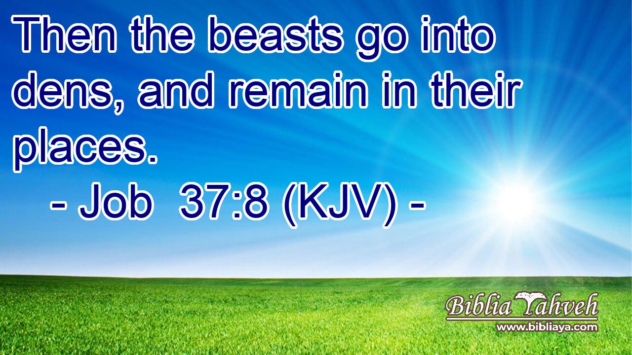 Then the beasts go into dens, and remain in their places.