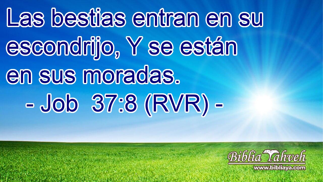 Las bestias entran en su escondrijo, Y se están en sus moradas.